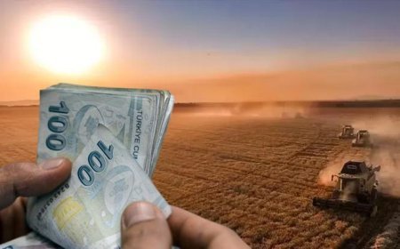 Tarım ve Orman Bakanlığı duyurdu: 129 milyon liralık destek bugün hesaplarda