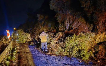Bursa’da heyelan. Sahil yolu ulaşıma kapandı