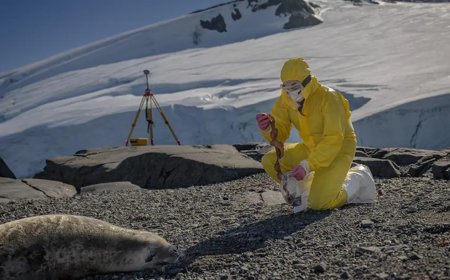 Türk bilim insanları Antarktika'daki araştırmalarıyla sağlık ve tarıma ışık tutuyor