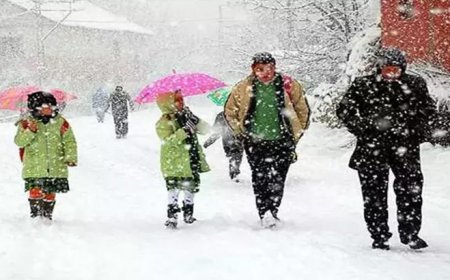 Erzurum'da eğitime kar engeli! Valilik duyurdu