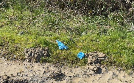 İstanbul’da dehşet! Çinli iş insanının cesedi, elleri ve ayakları bağlı toprağa gömülü bulundu