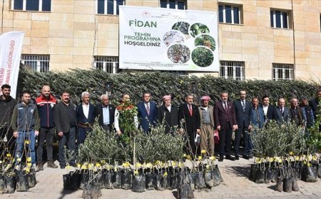 Şırnak'ta çiftçilere 25 bin 200 meyve fidanı dağıtıldı