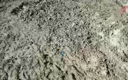 İstanbul'da korkunç cinayet. Kayıp Çinli iş insanı toprağa gömülü bulundu