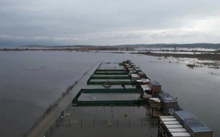 Göl yatağı arsa diye satıldı evler havuza döndü