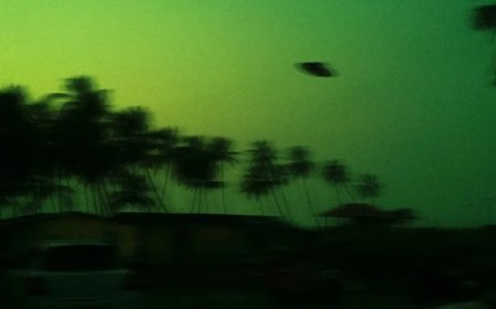 İngiliz bilim insanı: Dünya’da yaşamı uzaylılar başlatmış olabilir