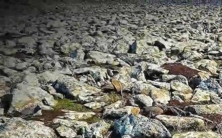 Şanlıurfa'da dev operasyon! Taşların altından cephanelik çıktı; işte ele geçirilenlerin listesi