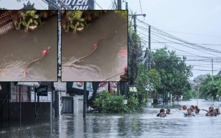 SON DAKİKA HABERLER: Turizm cennetinde korku dolu anlar! Sel sularının arasında devasa yılan görüntülendi