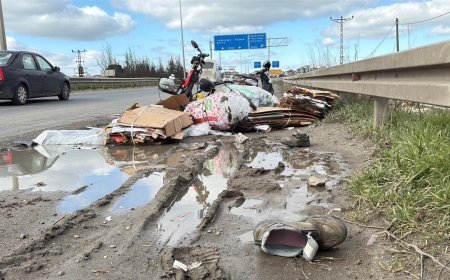 Ehliyetsiz sürücü can aldı