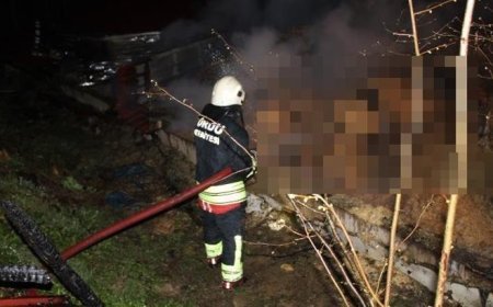 Ordu’da ahırda feci yangın! 27 büyükbaş hayvan telef oldu