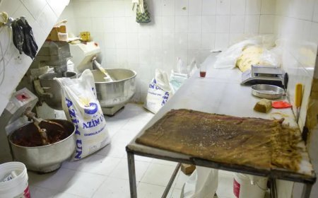 Fırında mide bulandıran görüntü