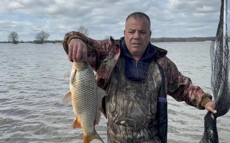 Edirne'de tarlada balık tuttular