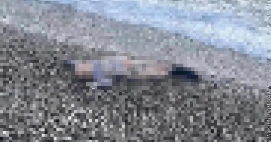 İzmir'de sahile vurmuş bir çocuk cesedi bulundu