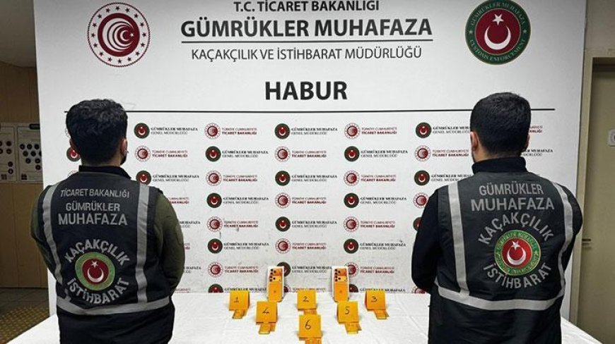 Habur'da ayakkabı içerisinde 41 kilo altın ele geçirildi!