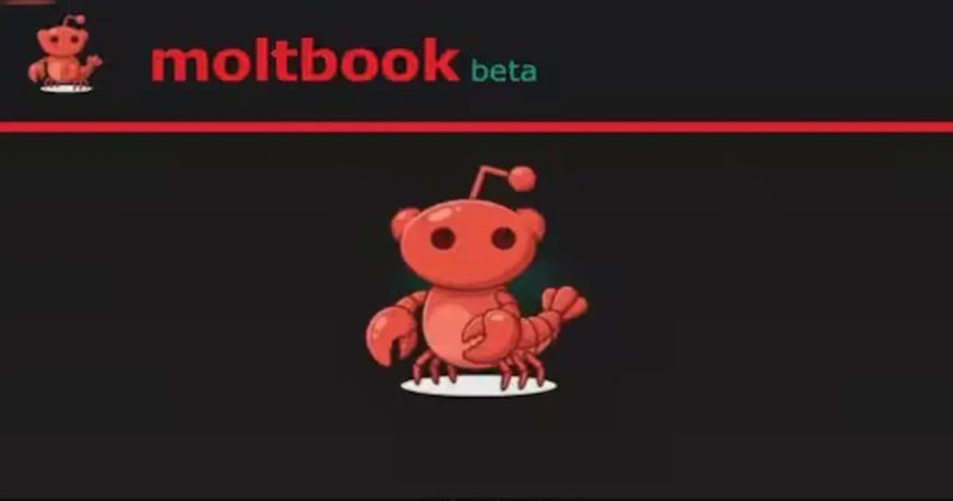 Yapay zekaların sosyalleştiği yer: Moltbook ne kadar gerçek ve ne kadar güvenli?