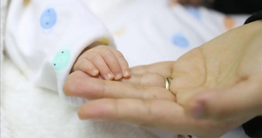 Doğum izni 24 hafta olacak. İki düzenlemede sona gelindi