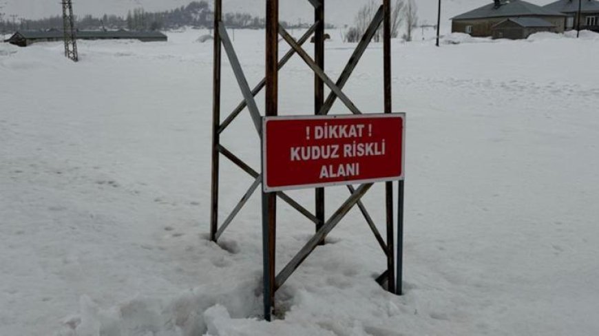 Hakkari'de kuduz alarmı! Bir köy karantinaya alındı, ekipler teyakkuzda
