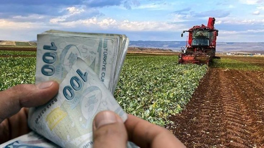 Çiftçilere müjde: 94 milyon 265 bin liralık destek ödemesi bugün yapılacak