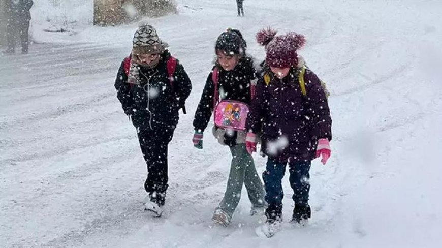 Van'da eğitime kar engeli! İşte tatil olan ilçeler