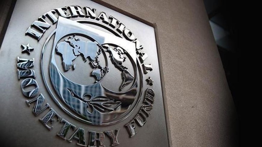 IMF: Türkiye'nin dezenflasyon programı başarılar gösterdi