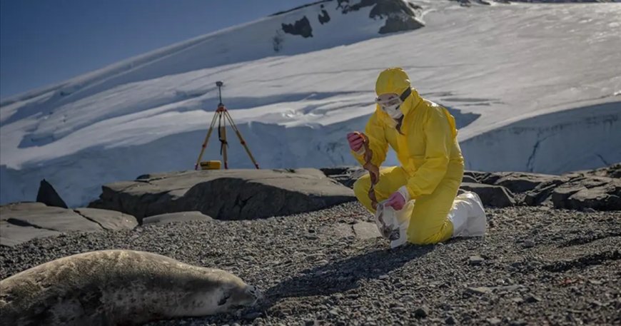 Türk bilim insanları Antarktika'daki araştırmalarıyla sağlık ve tarıma ışık tutuyor