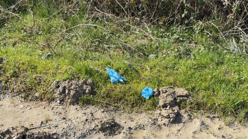 İstanbul’da dehşet! Çinli iş insanının cesedi, elleri ve ayakları bağlı toprağa gömülü bulundu