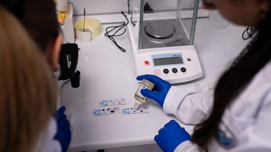 Kişiye özel probiyotik dönemi başlıyor! kullanım süresi en az 6 ay olacak