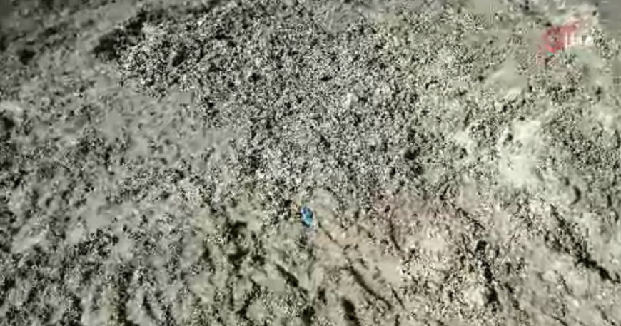 İstanbul'da korkunç cinayet. Kayıp Çinli iş insanı toprağa gömülü bulundu