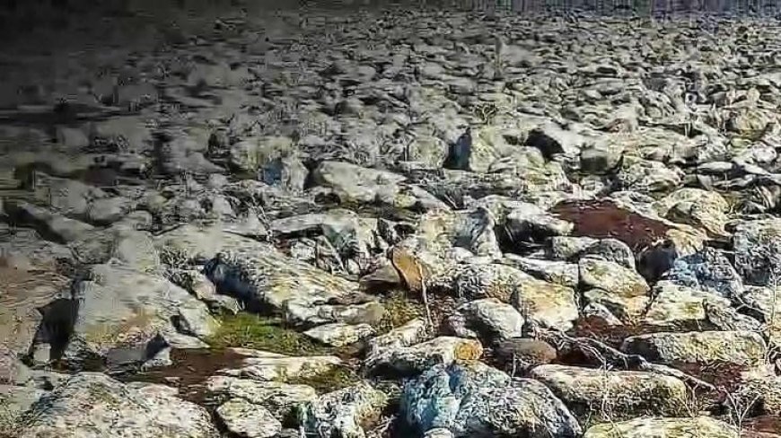 Şanlıurfa'da dev operasyon! Taşların altından cephanelik çıktı; işte ele geçirilenlerin listesi