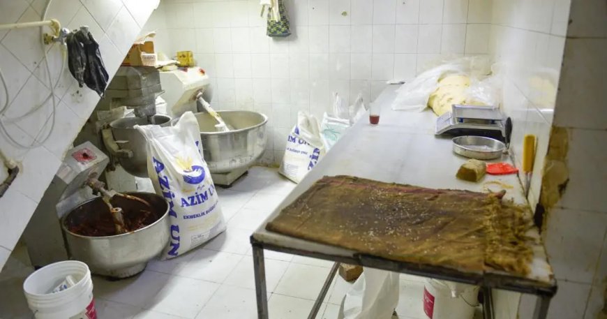 Fırında mide bulandıran görüntü