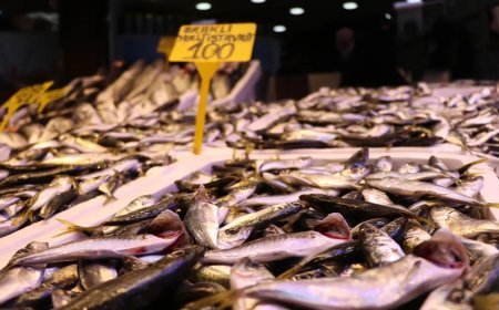 Fiyatı uygun, bol bol yeniyor. En çok satılan balık oldu