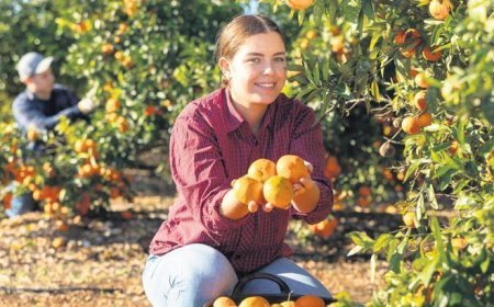 Çiftçi sayısı beş yılda 190 bin arttı