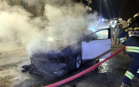 Park halinde alev alan otomobil yandı