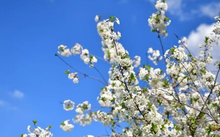 Son cemre toprağa düştü mü, bahar ne zaman geliyor? 2026 cemre tarihleri