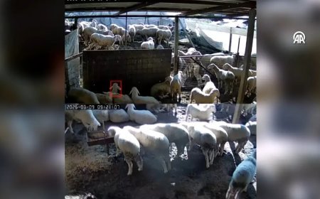 Denizli’de 5.1 büyüklüğündeki deprem anı kamerada