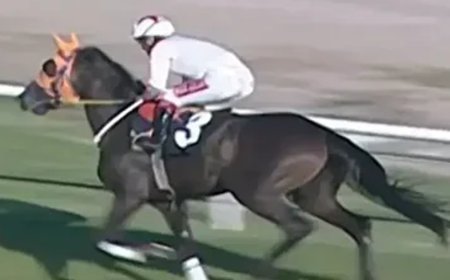 Kavurma yapılan at İngiliz basınında. Sahibi de duruma üzgün