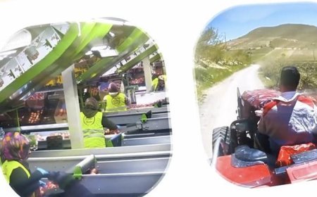 IPARD III Programı 2026 yılı çağrı takvimi yayımlandı