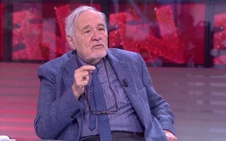 İlber Ortaylı NTV'de Çanakkale'yi anlatmıştı