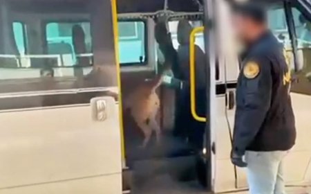 Torbacılara darbe. 1 tonu aşkın uyuşturucu ele geçirildi