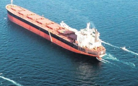 Hürmüz konusunda ihtiyatlı destek