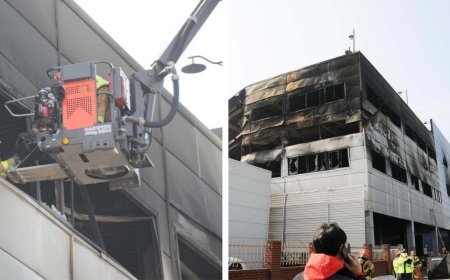 Güney Kore'de korkunç olay! Fabrika yangınında çok sayıda işçi öldü