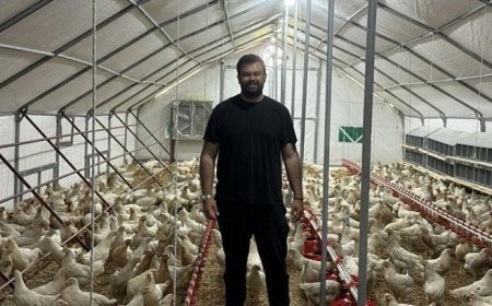 Otomobilini satıp hayali olan tavuk çiftliğini kurdu