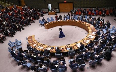 BMGK üyesi 8 ülke Filistin'de ilhak ve zorla yerinden edilmelere karşı olduklarını açıkladı