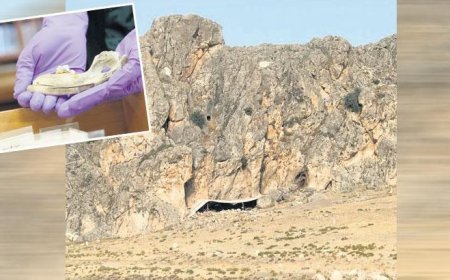 En eski köpek DNA’sı bizde