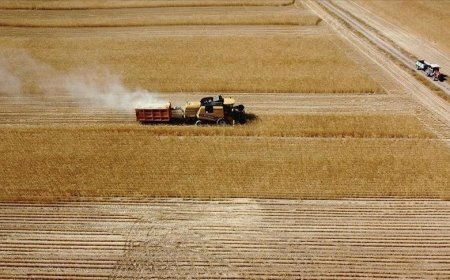 Çiftçilere tarımsal destekleme ödemesi bugün yapılacak