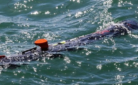Görünmeyen tehdit: Su altında yüzlerce kilometre ilerleyip saldırı yapabiliyor