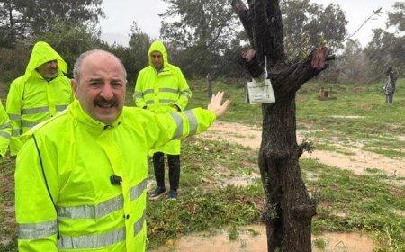 Mustafa Varank: Türkiye'nin daha müreffeh bir ülke olması için çalışmalara devam edeceğiz