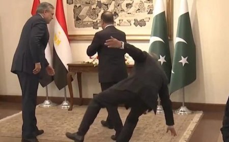 Pakistan Dışişleri Bakanı, mevkidaşını karşılarken bir anda yere yığıldı