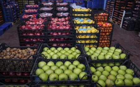 Ticaret Bakanlığı'ndan meyve ve sebze hallerine sıkı denetim