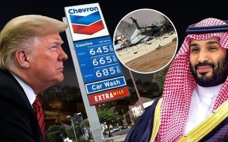 ABD Başkanı Trump, Muhammed bin Selman'a neden küfretti? 'Trump, porselen dükkanındaki fil gibi'