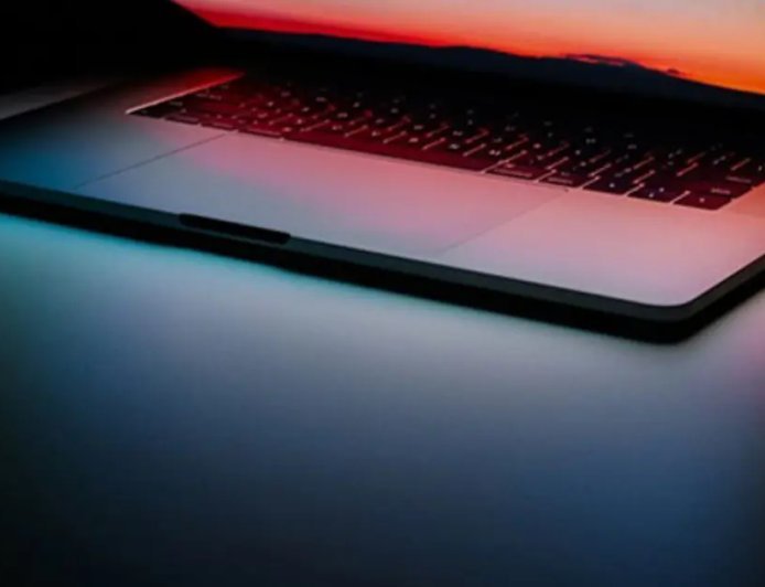 İnterpol'den dev siber operasyon: Aşk dolandırıcılığı yapan IP'ler çökertildi